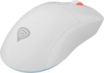 NATEC Zircon XIII Custom NMG-2090 Mouse