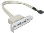 Delock Slot konzol USB 2.0 low profile 2 port (DL83119) (DL83119)