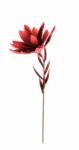 Bizzotto Set 12 flori artificiale rosii 20x81 cm (0170116)