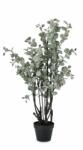 Bizzotto Eucalipt artificial in ghiveci 58x110 cm (0172938)