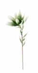 Bizzotto Set 12 flori artificiale verzi albe 20x81 cm (0170117)