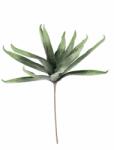 Bizzotto Set 12 plante Aloe artificiala verde 40x80 cm (0170141)
