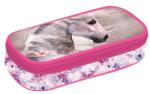 KARTON P+P Penar fete cu un compartiment, model Magic Horse - Oxybag Penar