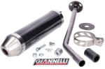 Giannelli Kipufogó hangtompító Aprilia RX, SX, Derbi Senda, Gilera RCR, SMT (D50B, EBE) karbon Giannelli