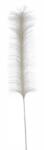 Bizzotto Set 24 pene artificiale gri 6x90 cm (0932737)