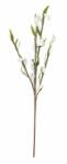 Bizzotto Set 12 crengute artificiale Blys 30x95 cm (0172721)