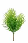 Bizzotto Set 24 crengute Palmier artificial 59 cm (0171905)