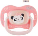 Canpol Babies Szimmetrikus szilikon cumi EXOTIC ANIMALS 18m+ panda