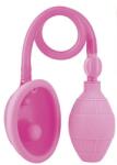 Seven Creations Pompa Vaginala Ultimate Pleasure, Roz