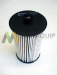 MOTAQUIP filtru combustibil MOTAQUIP VFF572 (VFF572) - automobilus