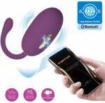 Pretty Love Doreen Vibrating Egg Global Remote Control Series Purple