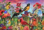 Bluebird Puzzle - Puzzle Stewart: Grădina păsărilor și florilor - 500 piese Puzzle