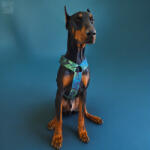  Nuada hám (HR663834)