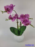  Kaspós gumi orchidea 4 ágú - Lila