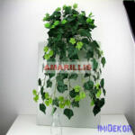  Futó 168 leveles bokor 80 cm - Borostyán leveles zöld