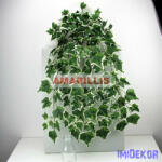  Futó 168 leveles bokor 80 cm - Borostyán leveles tarka