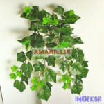  Futó bokor - Borostyán leveles zöld