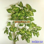  Futó bokor - Hegyes levelű tarka