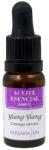 Nirvana Spa Ulei Esential de Ylang-Ylang, 10 ml (JOLLYJM81062)
