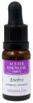 Nirvana Spa Ulei Esential de Ienupar, 10 ml (JOLLYJM81036)