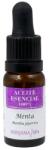 Nirvana Spa Ulei Esential de Menta, 10 ml (JOLLYJM81049)