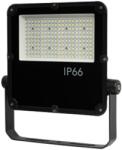 UltraLux Proiector profesional 100W, 5000K, 100V-277V AC, 30, IP66 (SPZ10050L30)