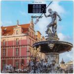 Zelmer ZBS1011 (60705632P)