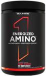 Rule 1 Energized Amino | with Natural Caffeine [270 грама] Плодов Пунш