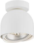 Argon Garland mennyezeti lámpa 1x12 W fehér 4710BZ