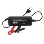 TED Electric Incarcator Acumulator 12V Putere Incarcare 5A, Incarca Baterie Pana la 100 Ah, TED003560 (A0113688) - pcone