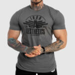 Iron Aesthetics Férfi fitness póló Iron Aesthetics Force, szürke: 3XL Szürke
