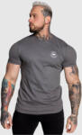 Iron Aesthetics Férfi sportpóló Iron Aesthetics Circle, charcoal: XXL Szürke