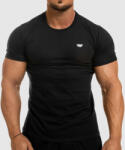 Iron Aesthetics Férfi fitness póló Iron Aesthetics Standard, fekete: 2XL Fekete