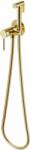 Excellent Pi bidé csaptelep zuhany készlettel süllyesztett arany AREX. 1204GL (AREX1204GL)