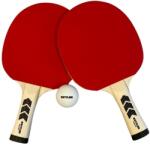 Kettler Set palete tenis Kettler Match (TT_Match_indoor_6x_ball)