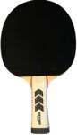 Kettler Paleta tenis de masa Kettler Premium (TT_racket_premium)