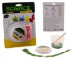 Johntoy Jucarie pentru copii Johntoy Science explorer - Experimente cu cristale (29544)