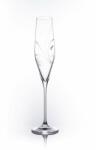 B. Bohemian MEADOW Swarovski pezsgőspoharak 190 ml, 2 db (S2221/ 1002 190)