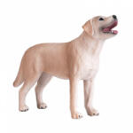 Mojo Labrador (MJ387271)