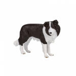 Mojo Border collie (MJ387203)