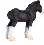 Mojo Shir ló csikó (MJ387399)