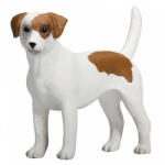 Mojo Jack Russell terrier (MJ387286)