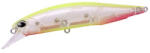 Duo REALIS JERKBAIT 100SP 10cm 14.5gr CEA0317 Clear Chart Halo (DUO73494) - plazaweb