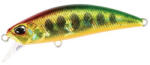 Duo SPEARHEAD RYUKI 50S 5cm 4.5gr ADA4090 UV RGG Yamame OB (DUO85381) - plazaweb