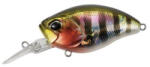 Duo REALIS CRANK 48MR KABUKI 4.8cm 10.5gr ADA3058 Prism Gill (DUO50242) - plazaweb