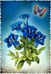 Gespaensterwald Felicitare Gespaensterwald Romantique - Floare (30033048)