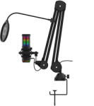 AQIRYS Microfon AQIRYS Galileo shock-mount brat articulat stand iluminare RGB USB (AQRYS-GALILEO)