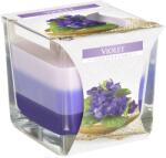 BISPOL Ароматна свещ Bispol Aura - Violet, 170 g (snk80-131)