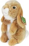 Rappa Iepure bej de pluș în picioare 18 cm ECO-FRIENDLY (RP201835)