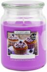 BISPOL Ароматна свещ Bispol Premium - Blueberry Dessert, 500 g (snd99-341)